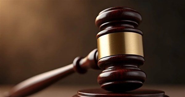 Court confirms final ruling in teenage millionaire inheritance case - ...