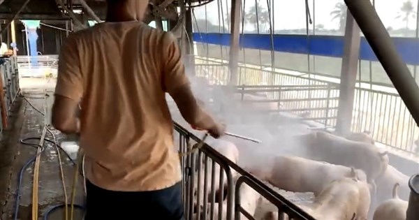 African swine flu control measures to last 15 days: MOA