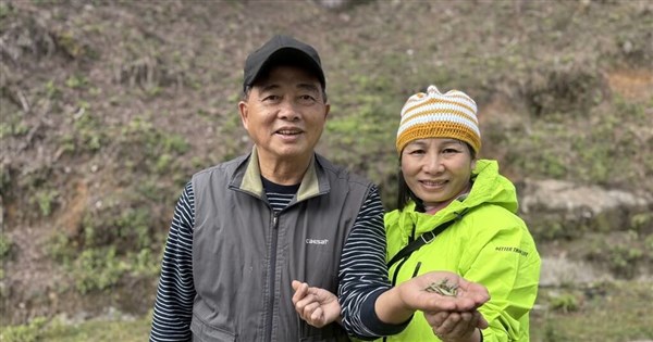 From Taiwan to Vietnam: Hsu Kuo-an's mastery of ancient tree tea