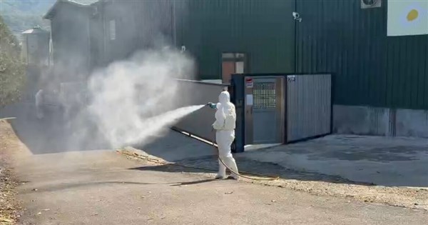 Mayor confirms avian flu outbreak at egg farm in Taichung