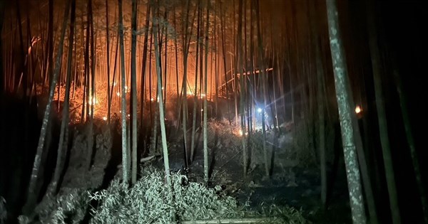 Fire extinguished after burning 1 hectare of bamboo forest in