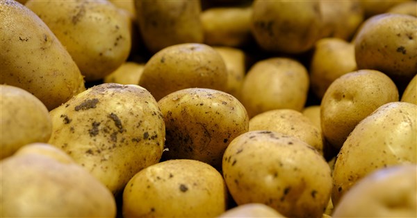 Sprouted U.S. potatoes will not enter Taiwan market: Premier