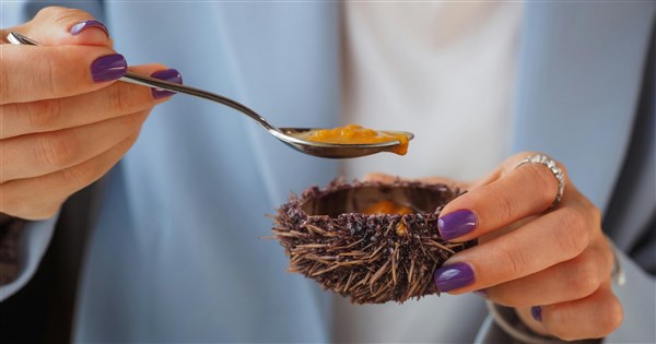 Import of Sushi Express sea urchin roe halted over cadmium levels