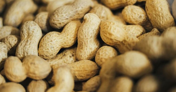Ministry pledges support for peanuts amid zero-tariff U.S. imports