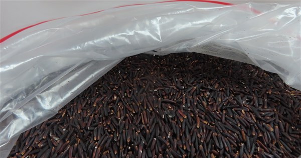 Vietnamese rice batch rejected over pesticide residue