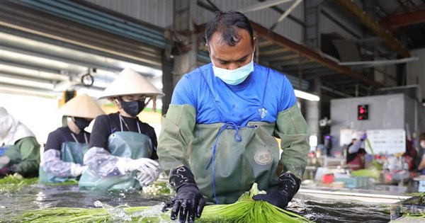 Thai worker finds 2nd home on water snowflake farm in southern Taiwan