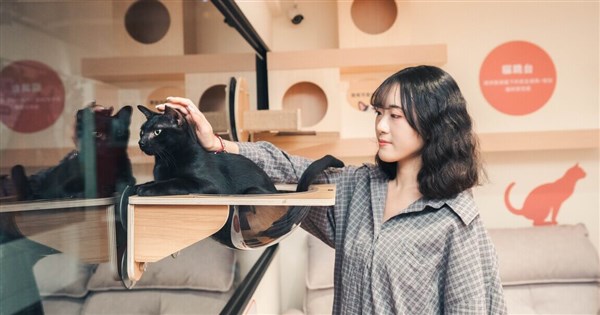 New Taipei opens cat-friendly space to promote pet care, adoption - Focus Taiwan
