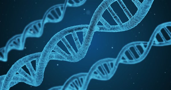 Taiwan study shows ongoing natural selection shaping disease ...
