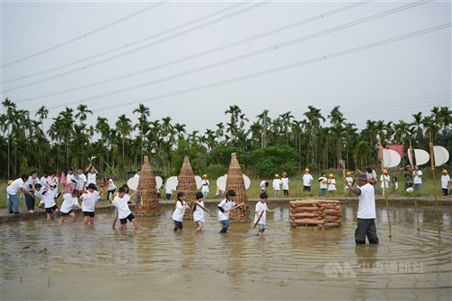 Karya seniman Indonesia bentangkan sayap kunang-kunang dalam festival seni alam SD di Pingtung