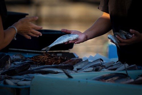 Pedagang ikan di Kaohsiung ditangkap atas dugaan penipuan puluhan juta dolar Taiwan