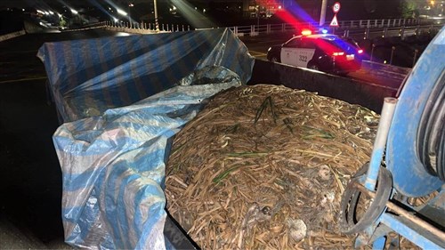 Pria di Yunlin ditangkap karena curi 330 kg bawang putih dan miliki narkoba