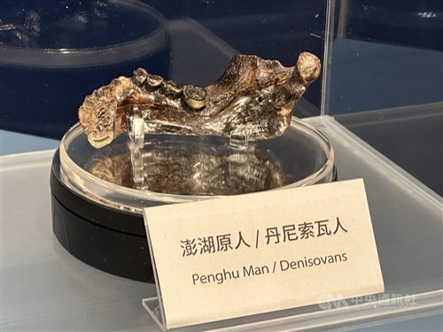 Museum Taiwan pamerkan fosil spesies manusia purba