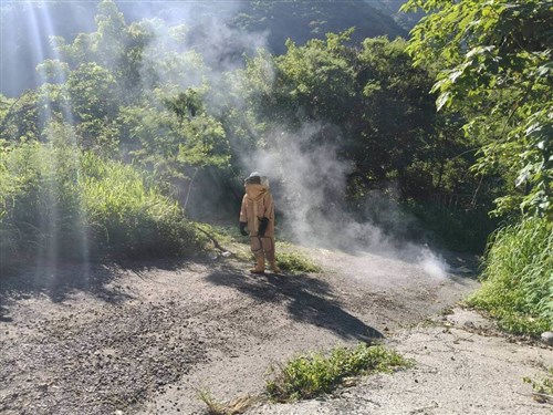 Wanita 88 tahun disengat tawon saat berkebun di Kaohsiung