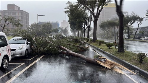 Satu orang hilang, 112 terluka saat Taifun Podul landa Taiwan