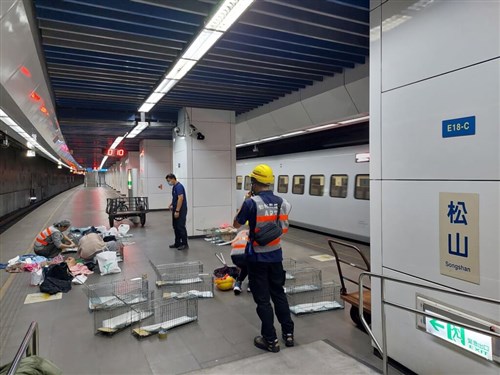 Kucing masih hilang pasca masuk rel kereta bawah tanah Taipei akhir Oktober