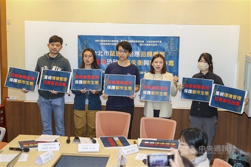 Aktivis: Penggunaan berlebihan rodentisida picu resistensi tikus di Taipei