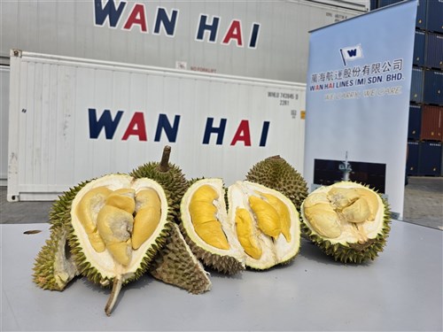 Wan Hai sukses uji kirim laut Musang King matang pohon dengan kontainer CA