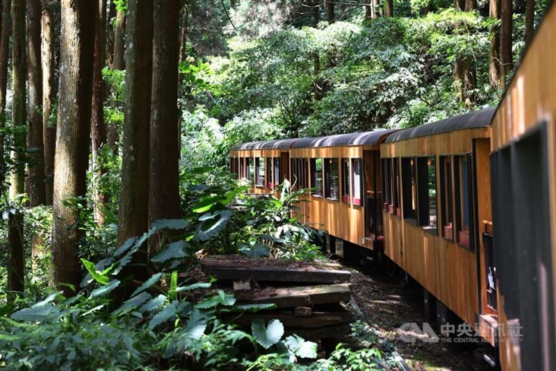 Formosensis membawa rombongan media dalam perjalanan dari Stasiun Fenqihu (奮起湖) menuju Taman Wisata Hutan Ali Shan. (Sumber Foto : CNA 3 Juli 2024)