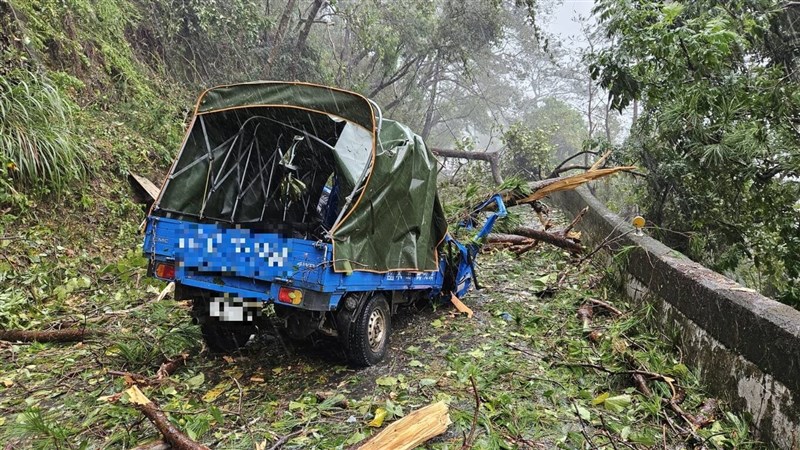 Sebuah truk kecil tertimpa pohon yang jatuh di Jalan Tol Provinsi 14A di Desa Ren