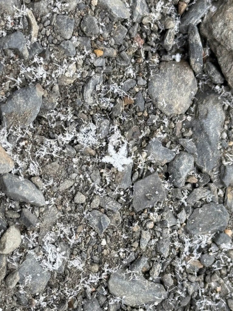 (Sumber Foto : CWA, 16 Desember 2024)