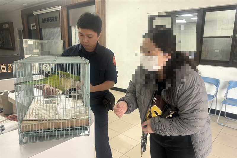 Seekor burung beo milik wanita bermarga Chang (kanan) yang hilang di Kota Tainan terbang masuk kantor polisi di Distrik Annan. (Sumber Foto : Kepolisian)