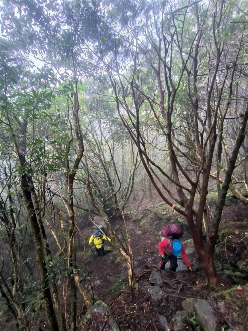 Tim penyelamat dari Kabupaten Taitung dan Kota Kaohsiung bekerja sama untuk menyelamatkan seorang wanita bermarga Huang yang ditinggalkan sendirian di jalur Selatan Bagian I. (Sumber Foto : Departemen Pemadam Kebakaran Kabupaten Taitung)