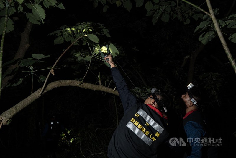 Pemburu sedang berburu iguana.  (Sumber Foto : CNA, 5 Januari 2025)