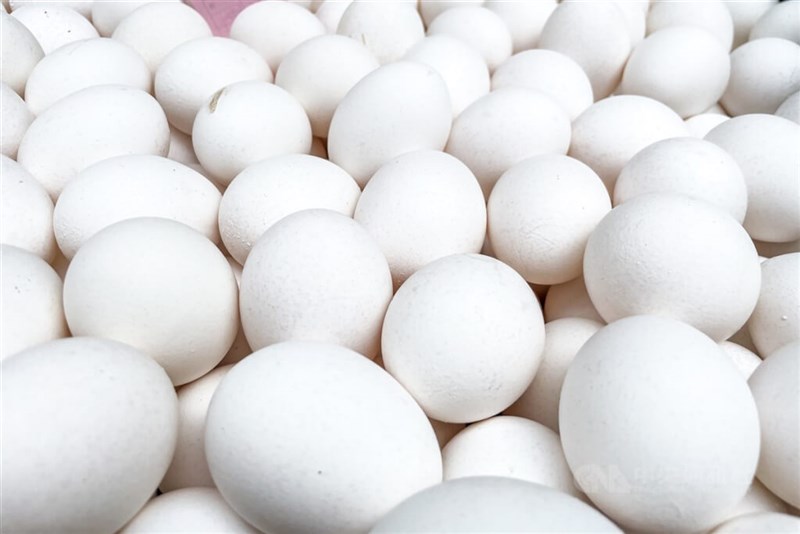 Telur ayam komersial. (Sumber Foto : Dokumentasi CNA)