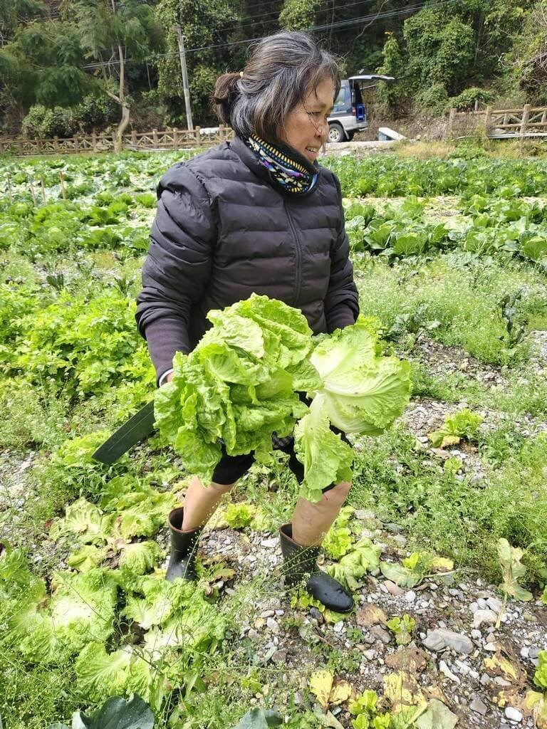 Fadilan di kebunnya di pegunungan Kabupaten Taitung. (Sumber Foto : Fadilan)