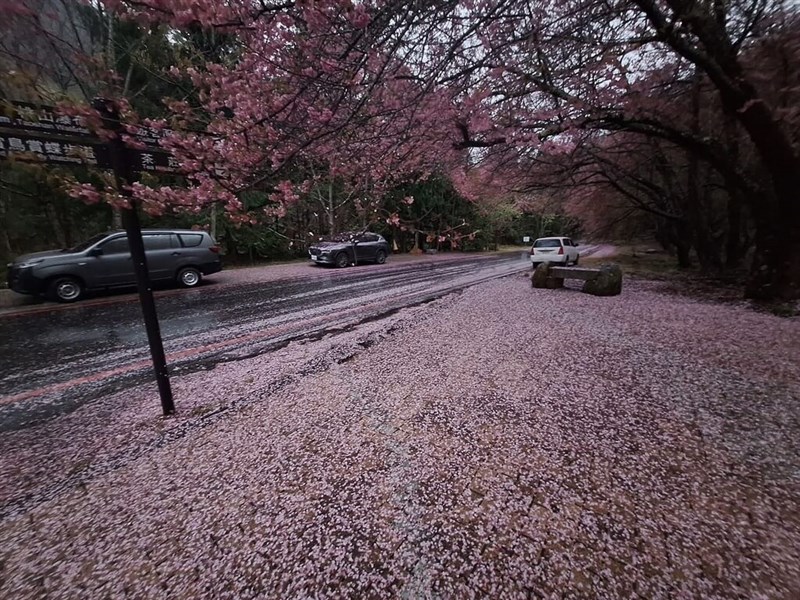 (Sumber Foto : Wuling Farm, 5 Maret 2025)