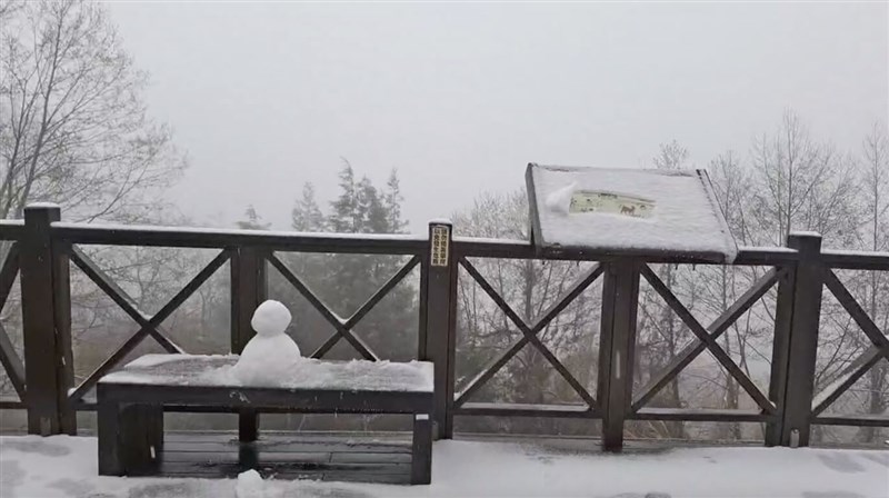 Sebuah boneka salju mini duduk di atas bangku di dalam Xueshan Taichung pada hari Selasa. (Sumber Foto : Kantor Pusat Taman Nasional Shei-Pa )