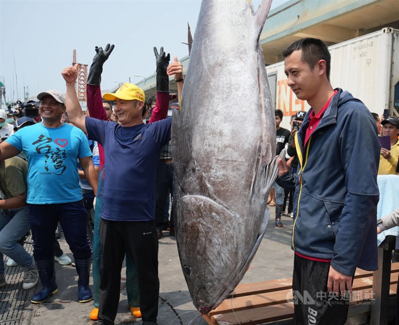 Tuna pertama di Pingtung musim ini. (Sumber Foto : CNA, 7 April 2025)