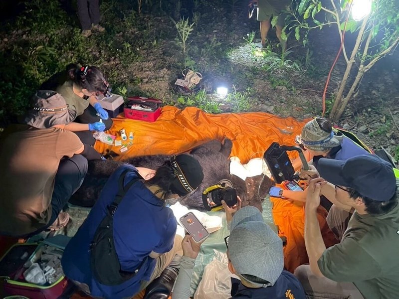 (Sumber Foto : Direktorat Jenderal Konservasi Hutan dan Alam Cabang Hualien, 22 April 2025)