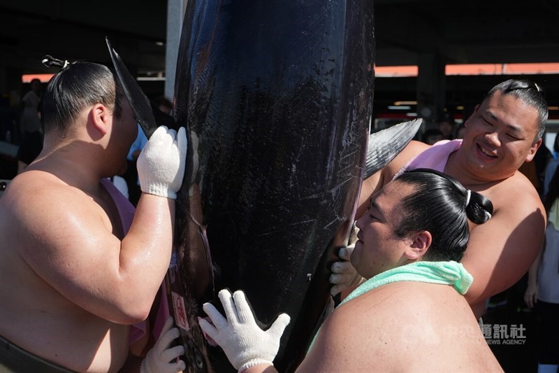 Pegulat sumo dengan pakaian gulat tradisional merasakan berat ikan tuna sirip biru yang digantung dengan ekornya di Tempat Lelang Donggang, Kabupaten Pingtung, Senin. (Sumber Foto : CNA, 9 Juni 2025)