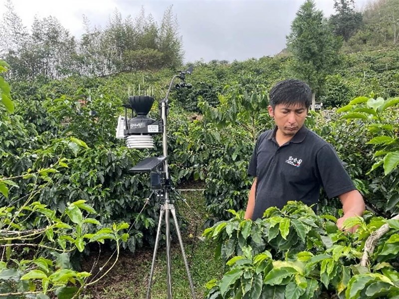 Pemilik Zouzhouyuan Specialty Coffee, Fang Cheng-lun. (Sumber Foto : Departemen Pertanian Kabupaten Chiayi, 26 Juni 2025)