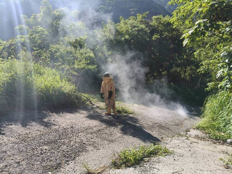 Warga melakukan pengusiran pasca serangan tawon kepada seorang warga. (Sumber Foto : Departemen Pemadam Kebakaran Kaohsiung)