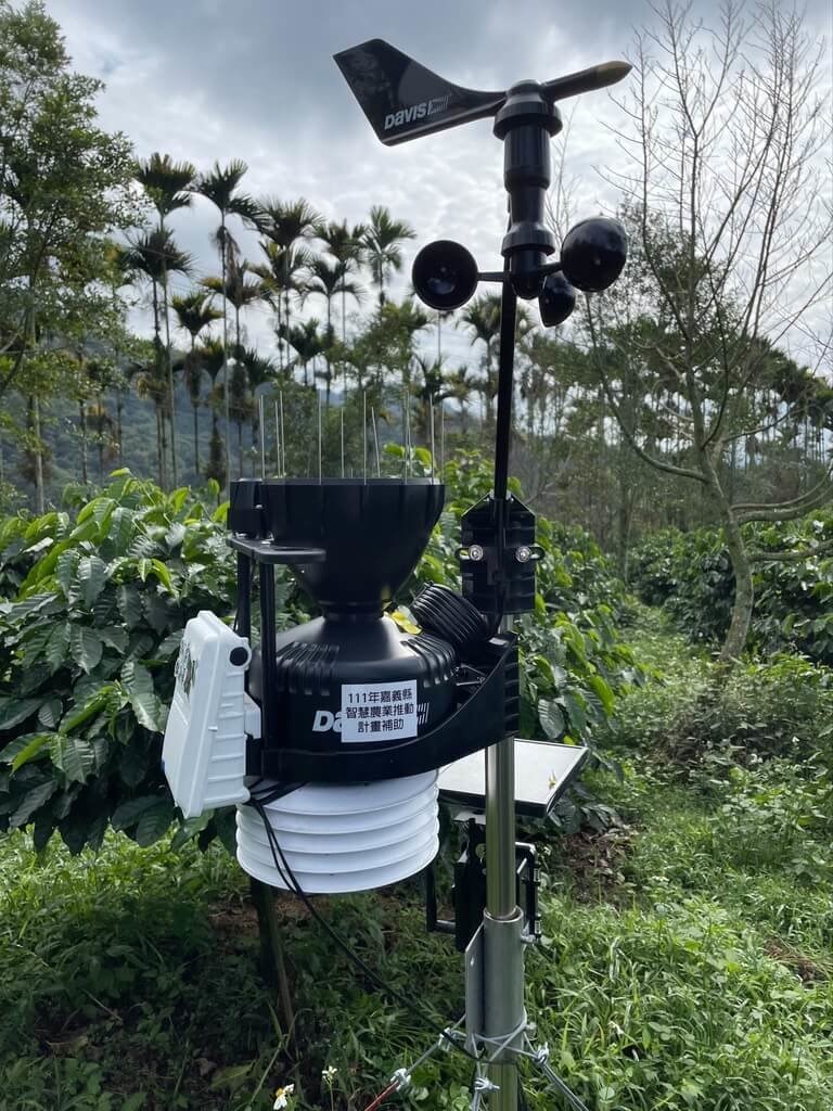 (Sumber Foto : Departemen Pertanian Kabupaten Chiayi, 26 Juni 2025)