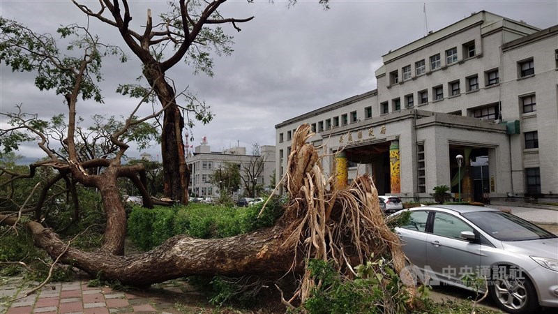 Pohon di depan Kantor Pemerintah Kabupaten Chiayi tercabut akarnya, Senin. (Sumber Foto : CNA, 7 Juli 2025)