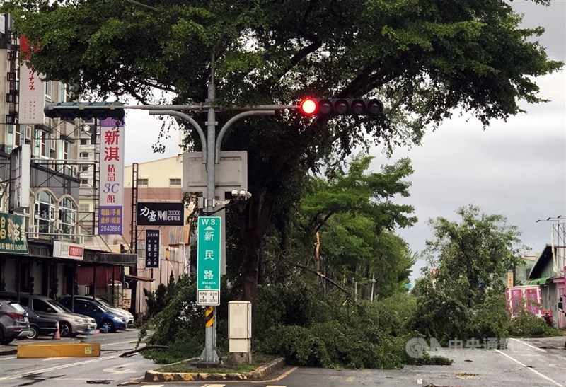 Pohon-pohon di Jalan Xinmin Kota Chiayi tumbang, Senin. (Sumber Foto : CNA, 7 Juli 2025)