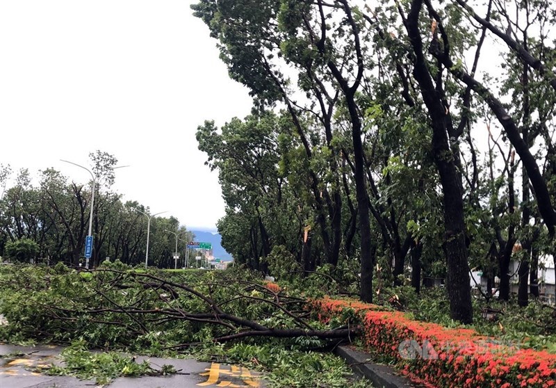 Pohon-pohon tumbang di Bagian 3 Jalan Shixian, Kota Chiayi, Senin. (Sumber Foto : CNA, 7 Juli 2025)