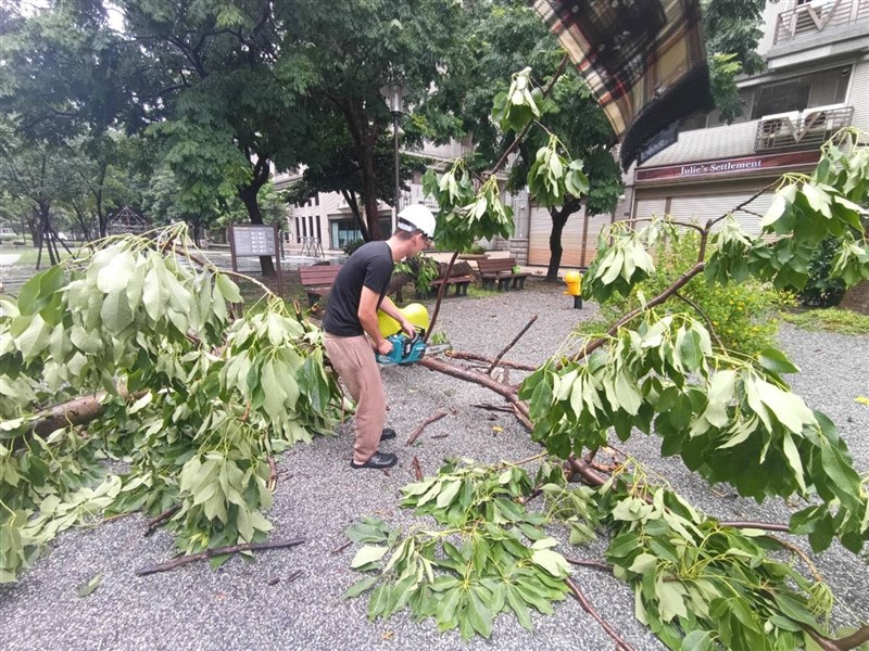 Petugas pemadam kebakaran hari Senin membereskan pohon tumbang di Kota Hsinchu. (Sumber Foto : Biro Pemadam Kebakaran Kota Hsinchu)