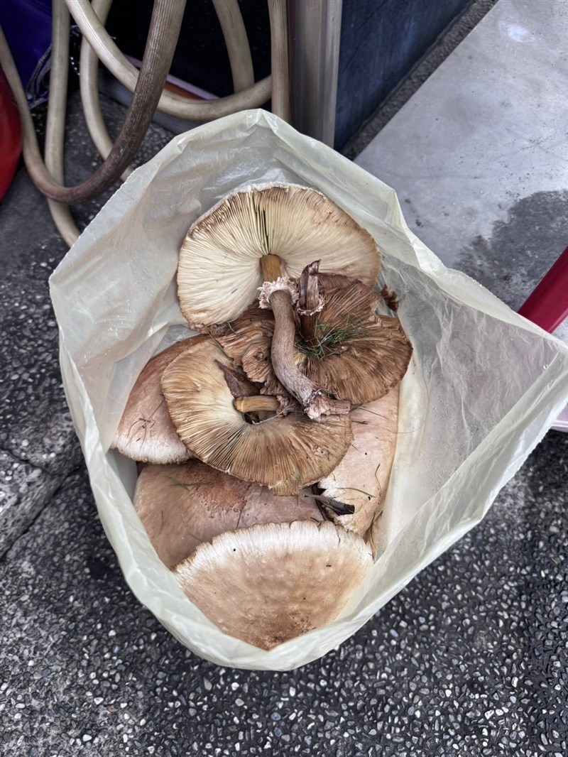 (Sumber Foto : Kantor Polisi Fongshan)