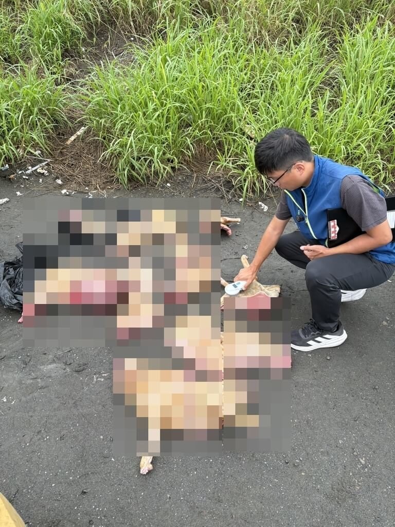 (Sumber Foto : Pusat Pengendalian Penyakit Hewan dan Tumbuhan Kabupaten Yunlin)