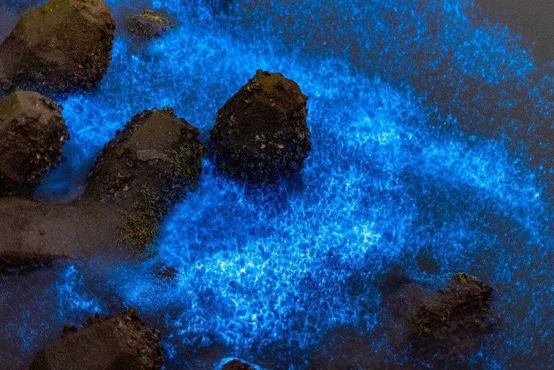 (Sumber Foto : Pemerintah Kota Tainan)