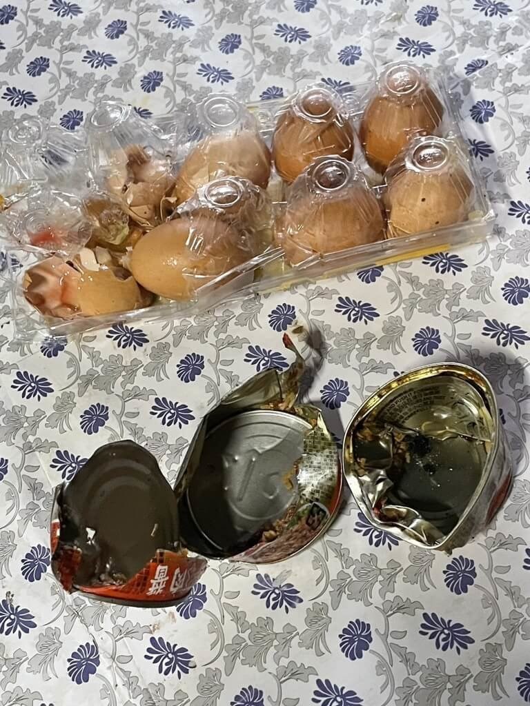 (Sumber Foto : Dokumentasi Cabang Chiayi dari Badan Kehutanan dan Konservasi Alam). 