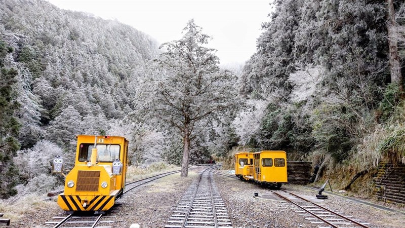 (Sumber Foto : Direktorat Jenderal Kehutanan dan Konservasi Alam Cabang Yilan)