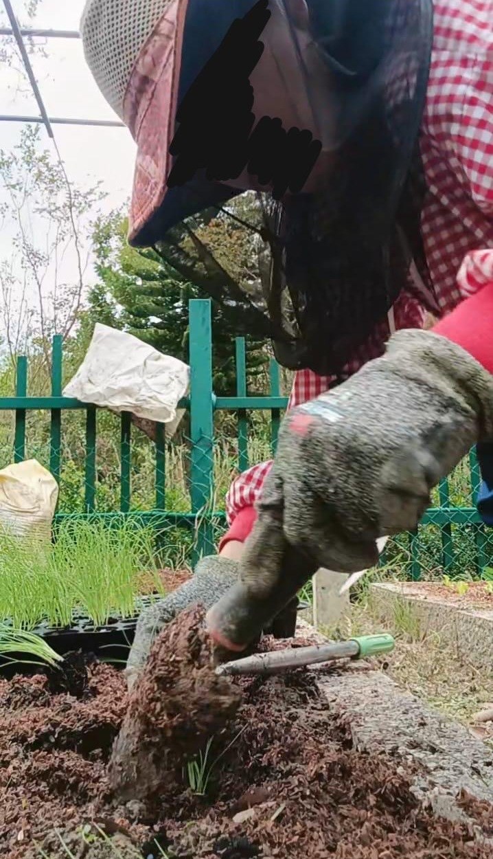 Rini dipekerjekan sebagai tukang kebun. (Sumber Foto : Rini)