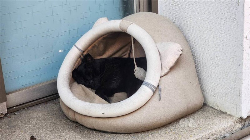 Hei Pao, maskot Korps Investigasi Kriminal Departemen Kepolisian Kota Kaohsiung. (Sumber Foto : Dokumentasi CNA)