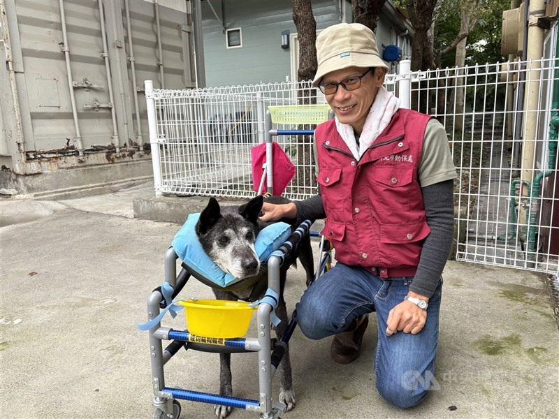Yu Yuan-hung, petugas di Kantor Perlindungan dan Inspeksi Kesehatan Hewan Kota New Taipei, dan anjing cacat yang dibantunya. (Sumber Foto : Dokumentasi CNA)