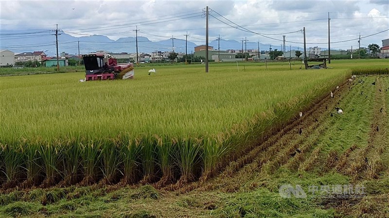 Lahan pertanian di Chiayi. (Sumber Foto : Dokumentasi CNA)